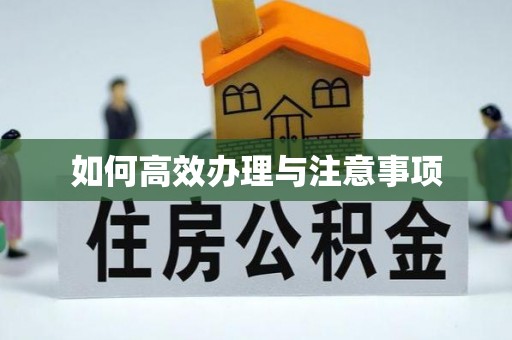潼关如何高效办理与注意事项