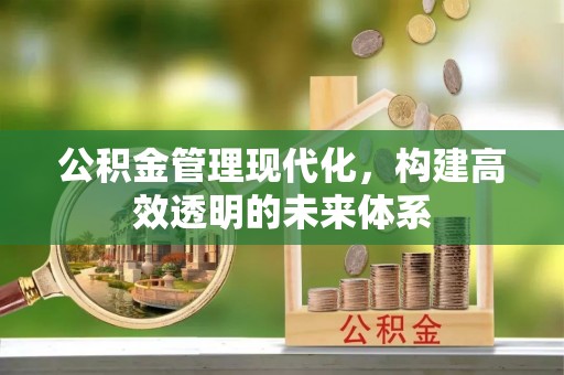 潼关公积金管理现代化，构建高效透明的未来体系