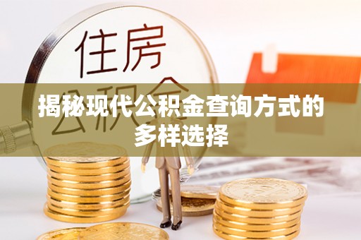 潼关揭秘现代公积金查询方式的多样选择
