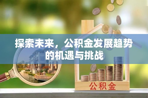 潼关探索未来，公积金发展趋势的机遇与挑战