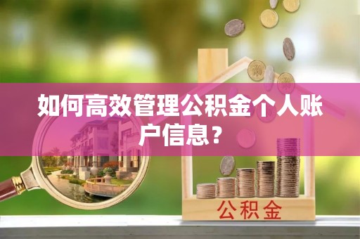 潼关如何高效管理公积金个人账户信息？