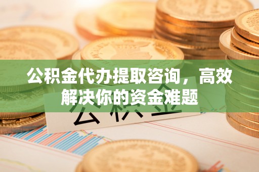 潼关公积金代办提取咨询，高效解决你的资金难题